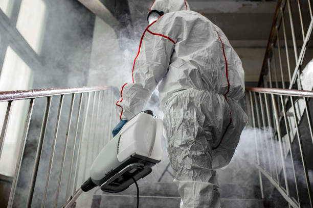 Mold Remediation for Vacation Homes in Park Ridge, IL